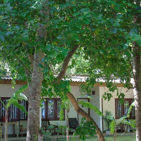 Talalla Coconut Hotel Esterno foto