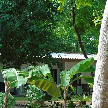 Talalla Coconut Hotel Esterno foto