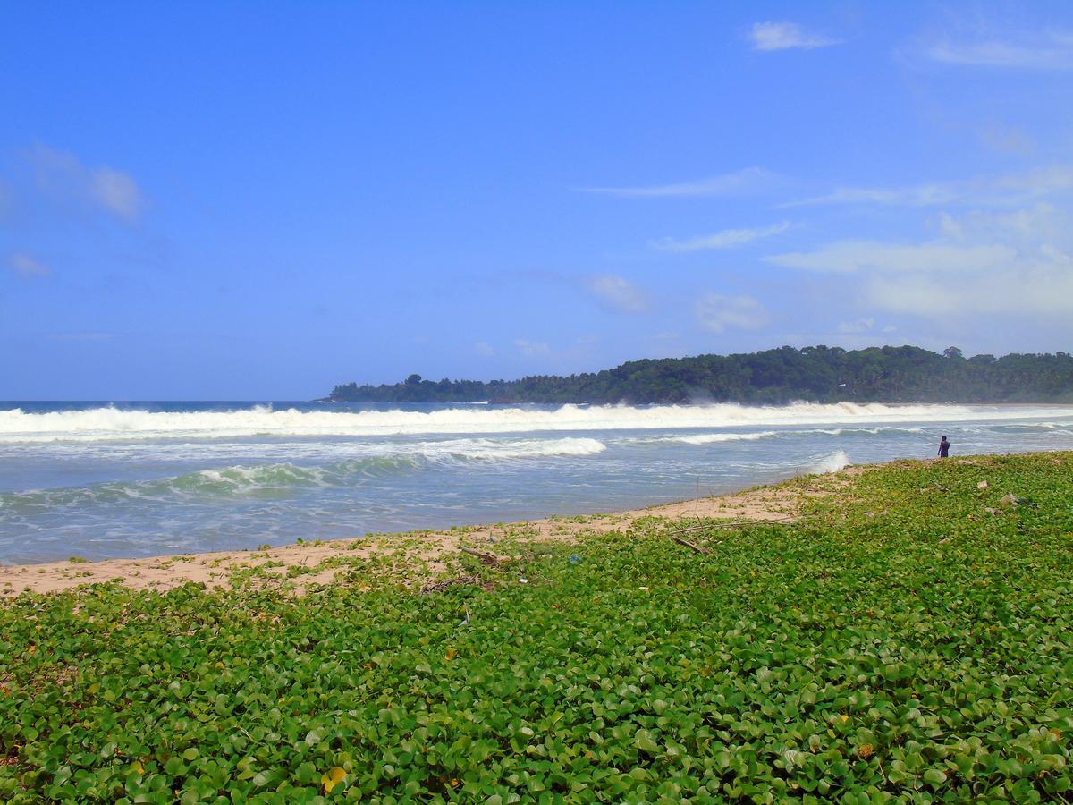 Talalla Coconut Hotel Esterno foto