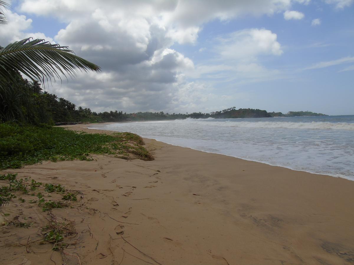 Talalla Coconut Hotel Esterno foto