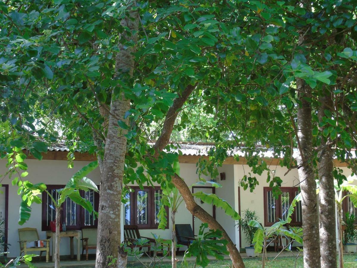 Talalla Coconut Hotel Esterno foto