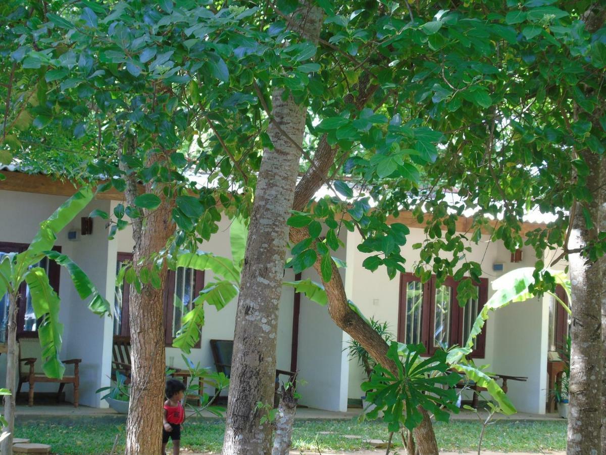Talalla Coconut Hotel Esterno foto