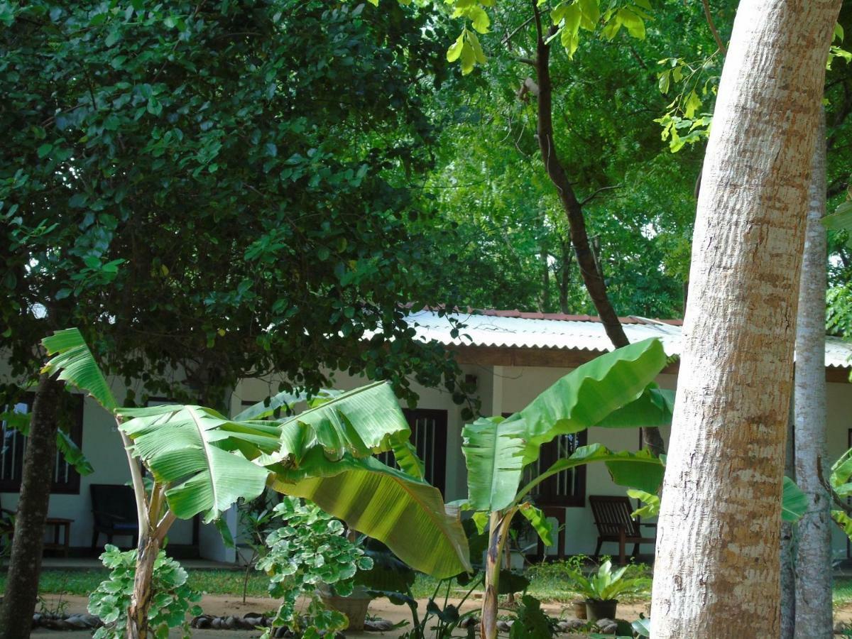Talalla Coconut Hotel Esterno foto