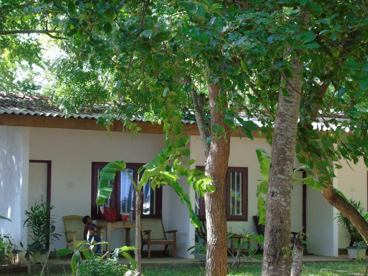 Talalla Coconut Hotel Esterno foto