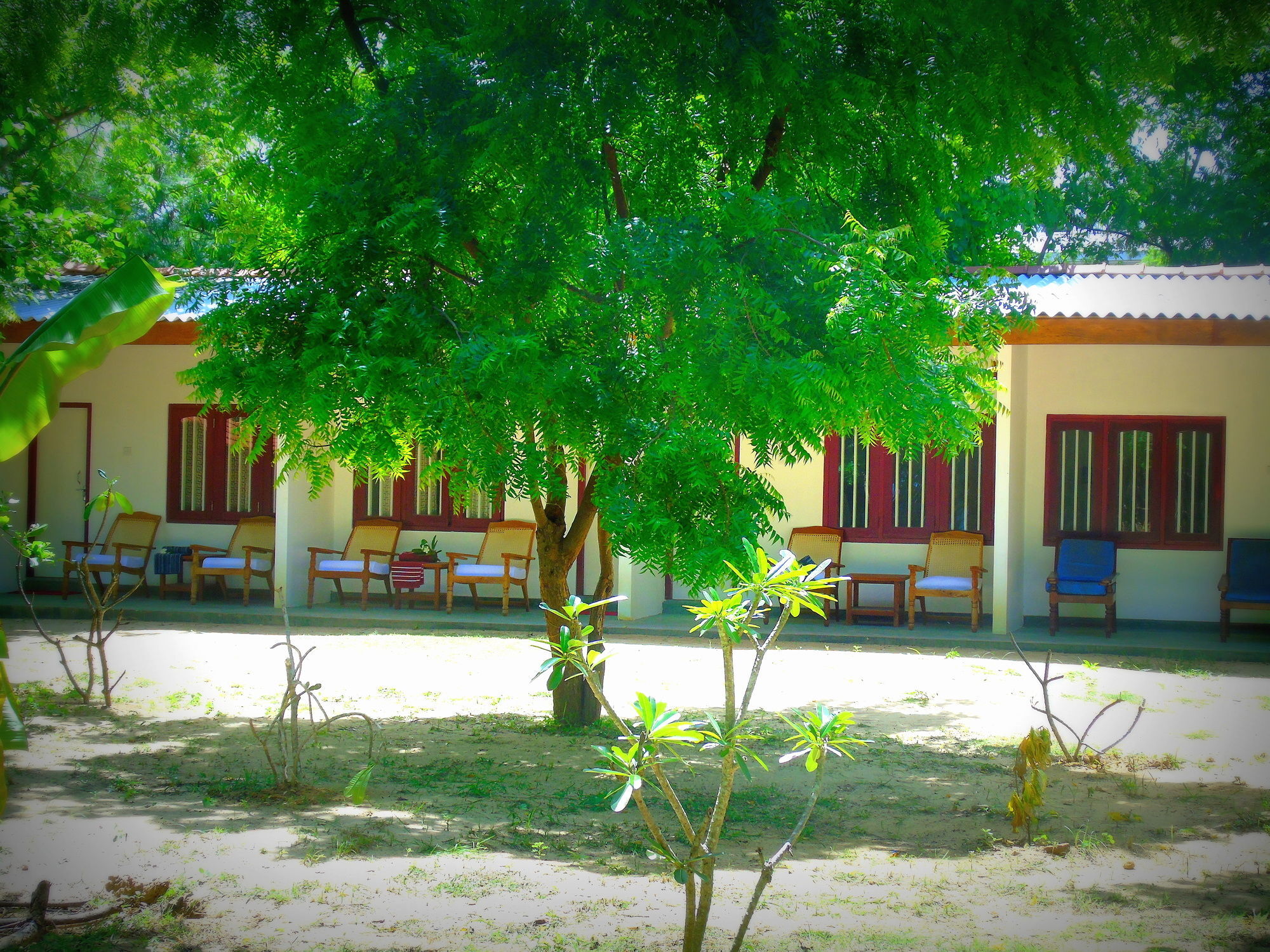 Talalla Coconut Hotel Esterno foto