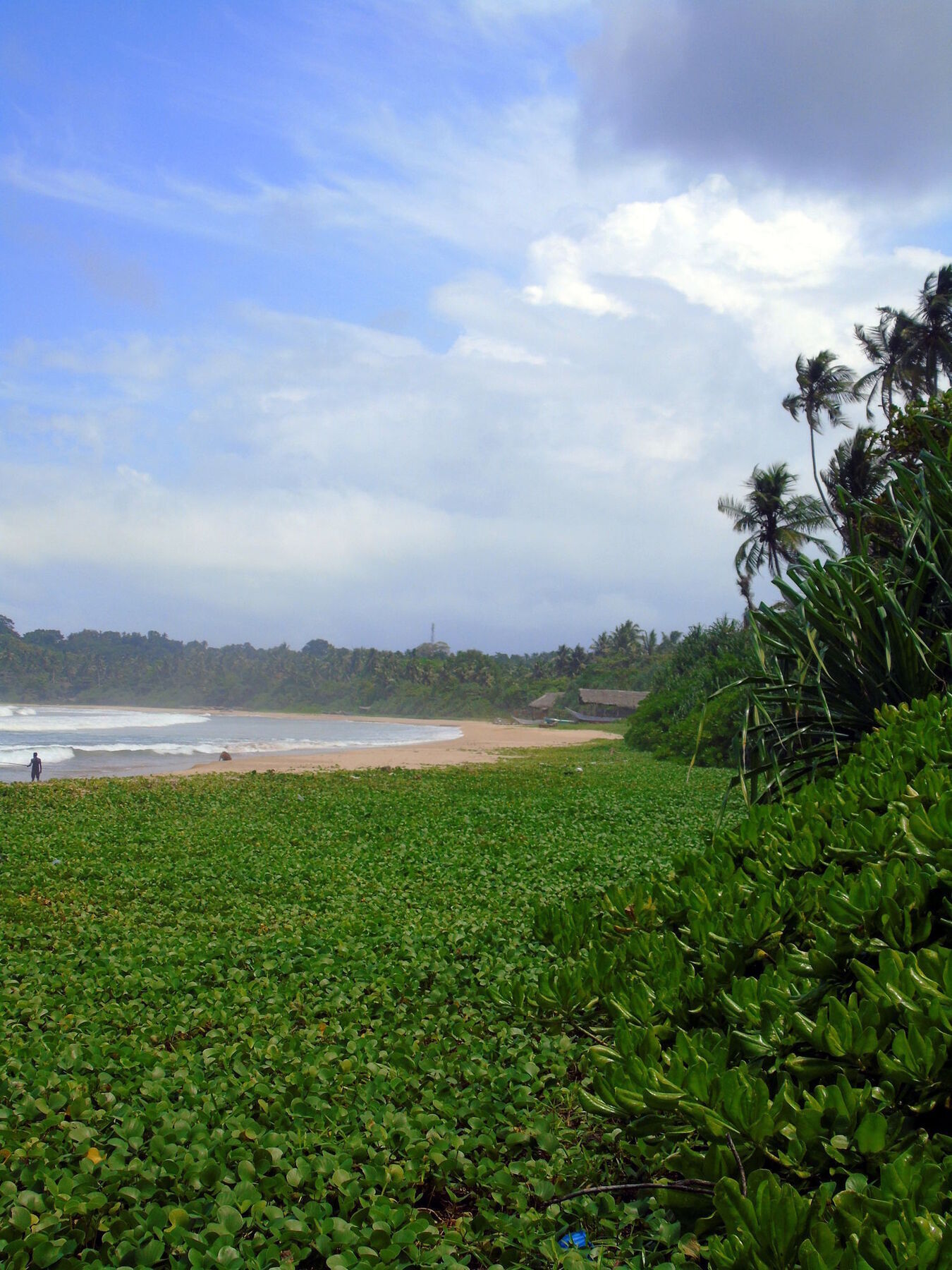 Talalla Coconut Hotel Esterno foto